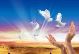 熱烈慶祝我公司網(wǎng)站正式上線(xiàn)！